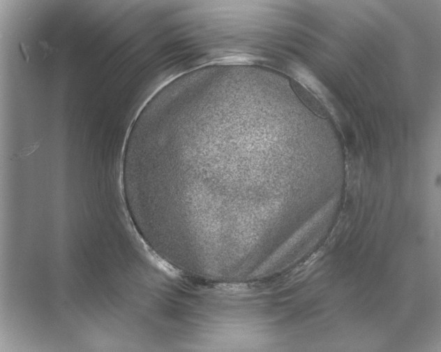 X0000071961194200607212244