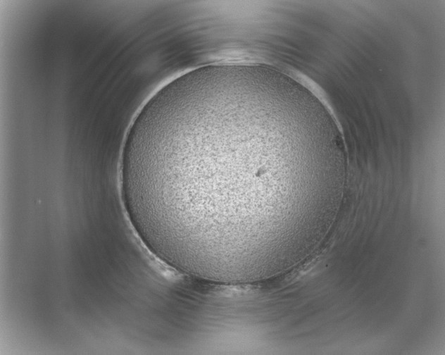 X0000071961195200607212244