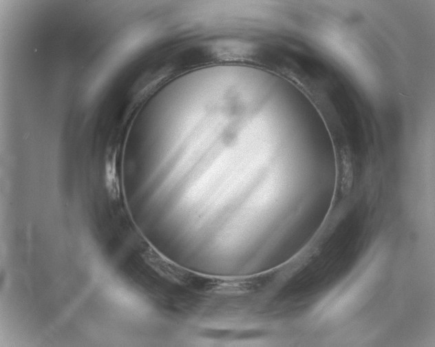 X0000071961198200607212244