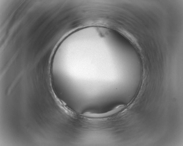 X0000071961200200607212244