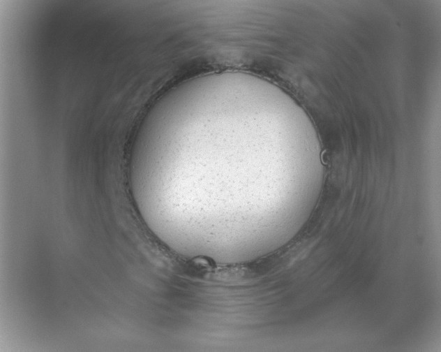 X0000071961201200607212243