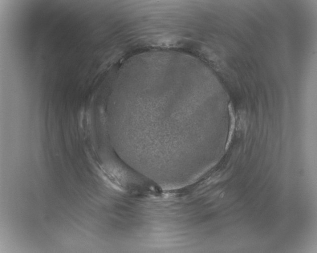 X0000071961202200607212243