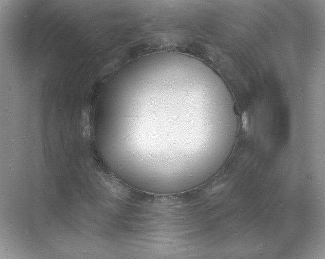 X0000071961203200607212243