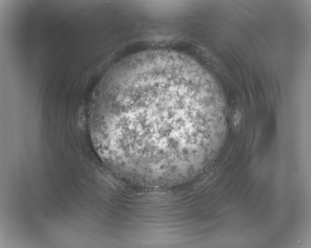 X0000071961204200607212243