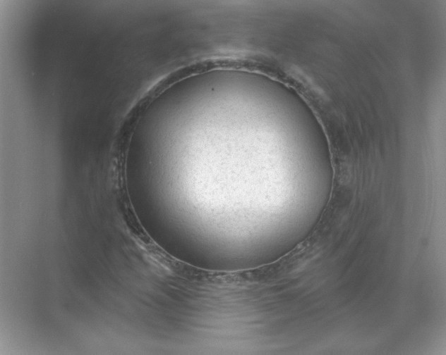 X0000071961208200607212243