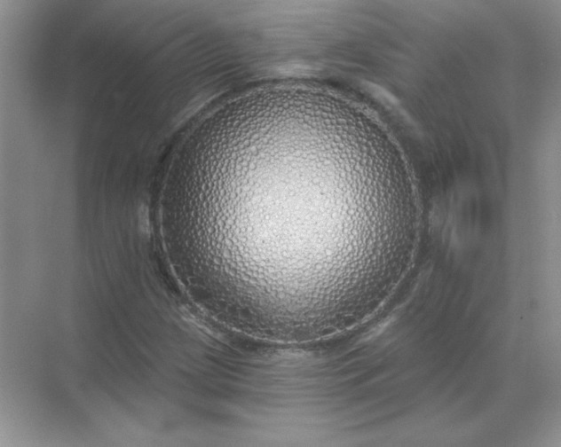 X0000071961209200607212243