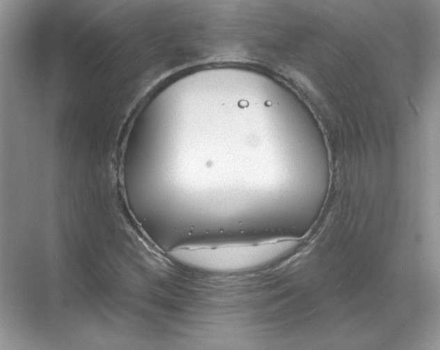 X0000071961212200607212243