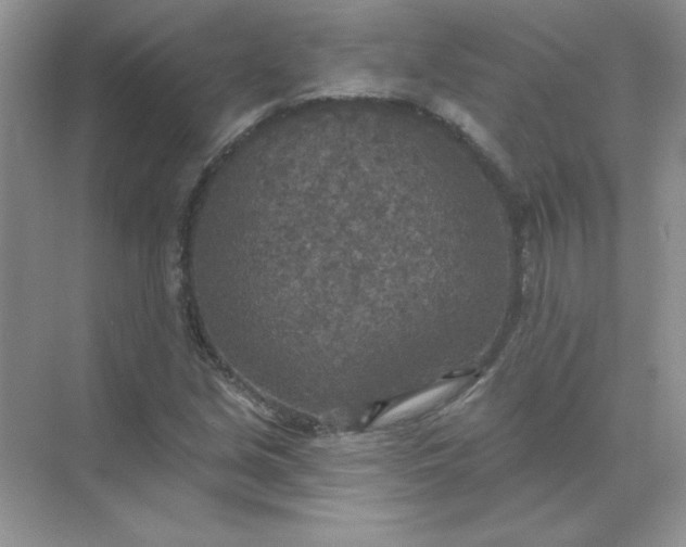 X0000071961213200607212243