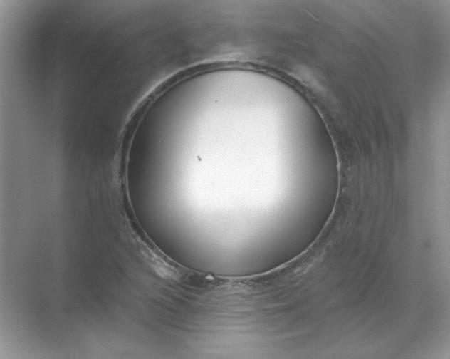 X0000071961216200607212244