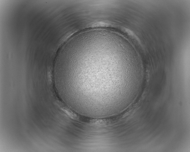 X0000071961217200607212244