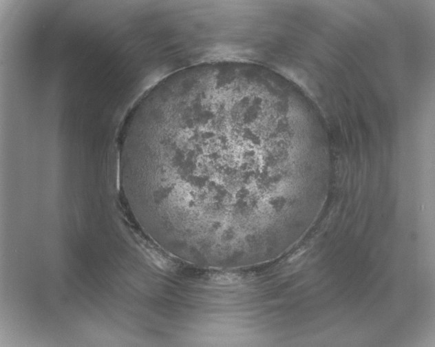 X0000071961219200607212244