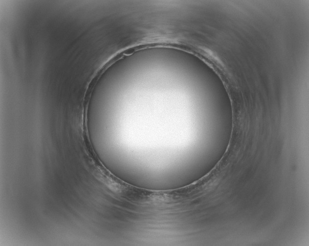 X0000071961220200607212244