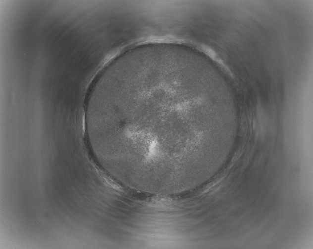 X0000071961221200607212244