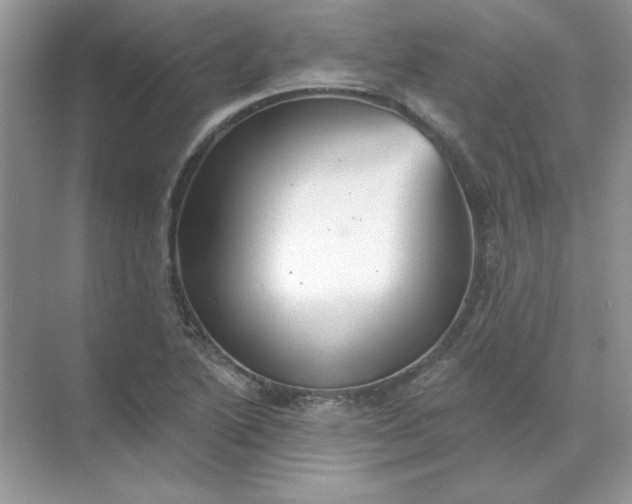 X0000071961222200607212244