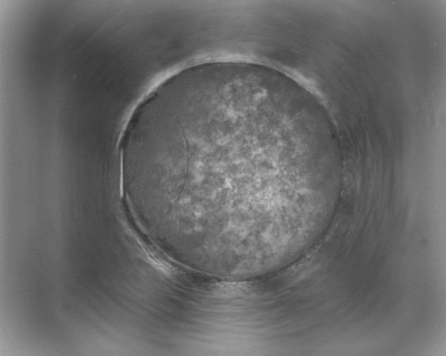 X0000071961223200607212244