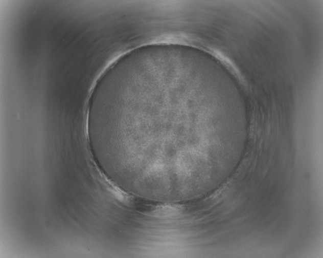 X0000071961224200607212244