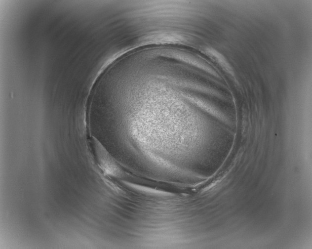 X0000071961226200607212244