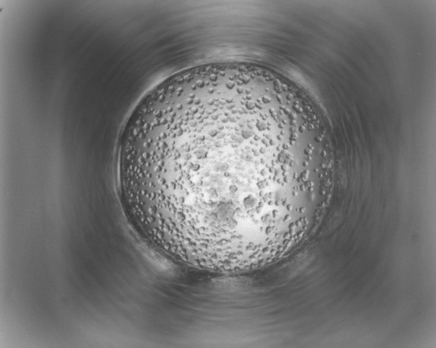 X0000071961227200607212244