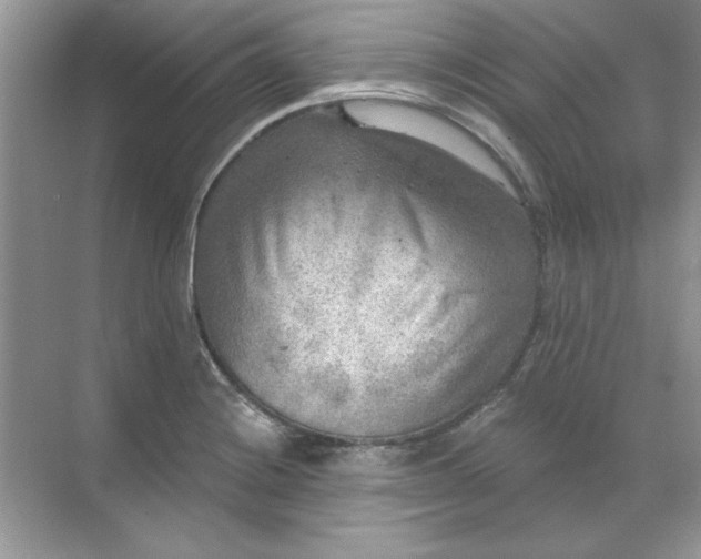 X0000071961228200607212244