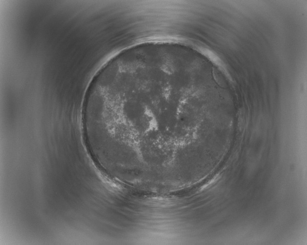 X0000071961229200607212244