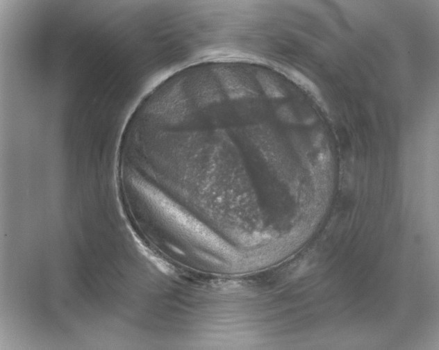 X0000071961231200607212244