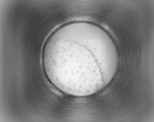 X0000071961232200607212244