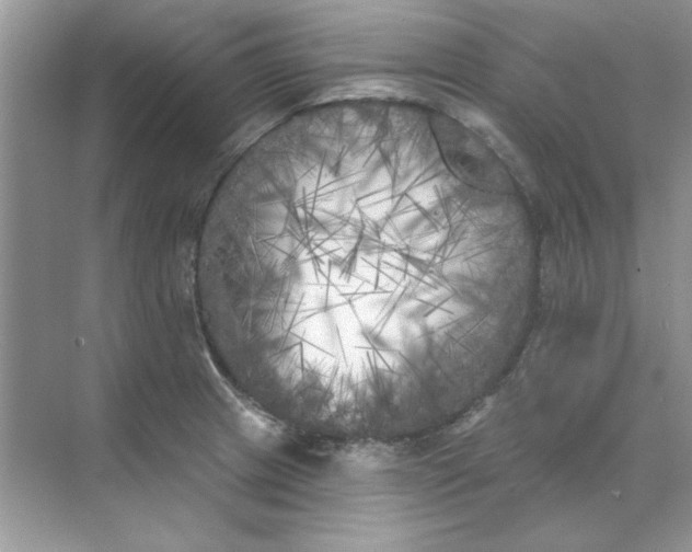 X0000071961233200607212244