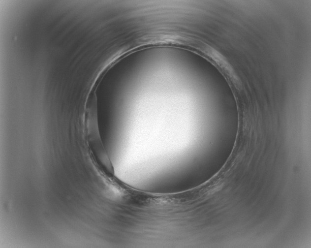 X0000071961234200607212244