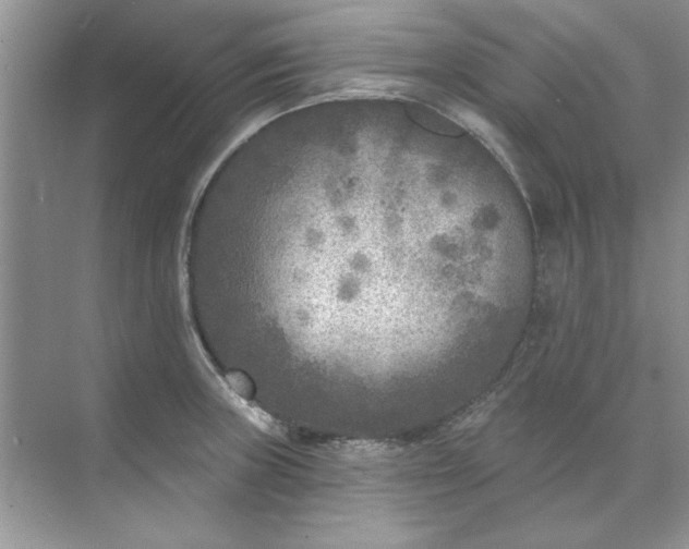 X0000071961235200607212244