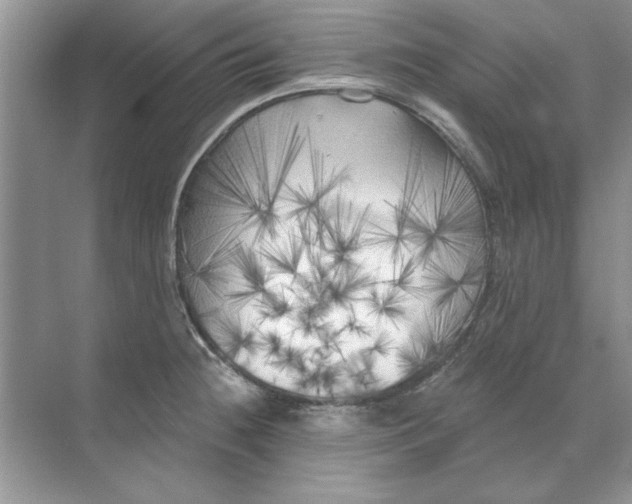 X0000071961236200607212244