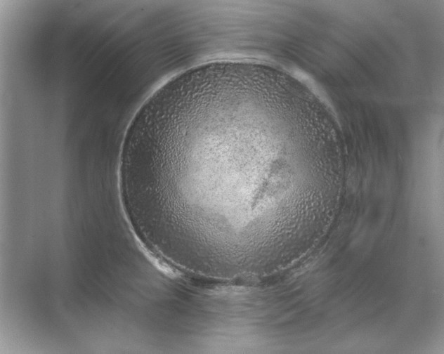 X0000071961237200607212244