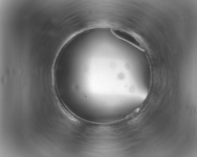 X0000071961238200607212244