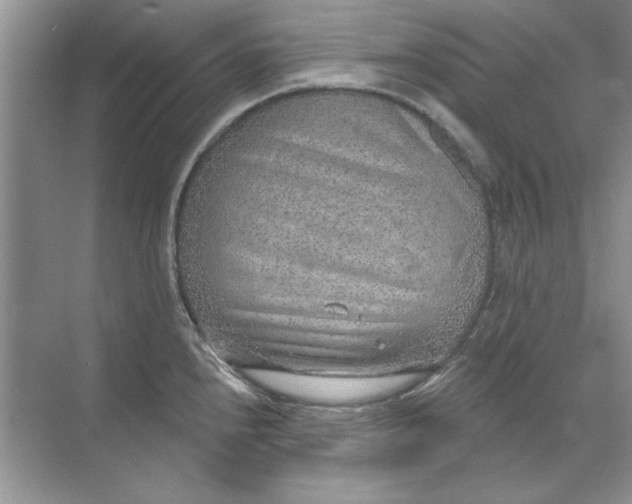 X0000071961240200607212244