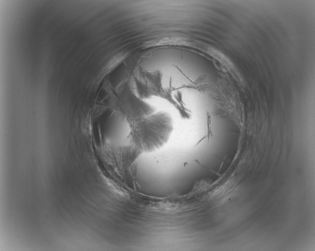 X0000071961241200607212244