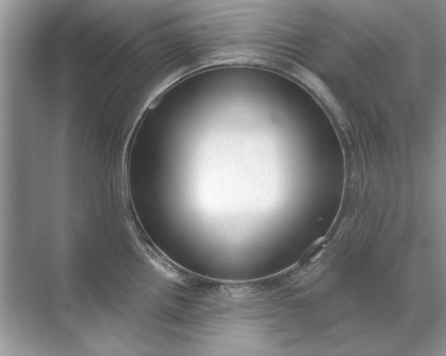 X0000071961242200607212244