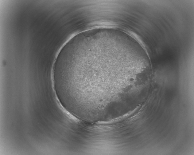 X0000071961243200607212244