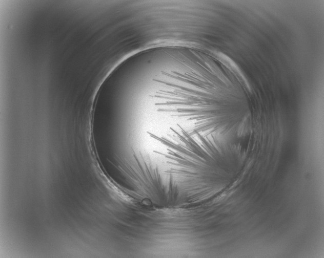 X0000071961244200607212244