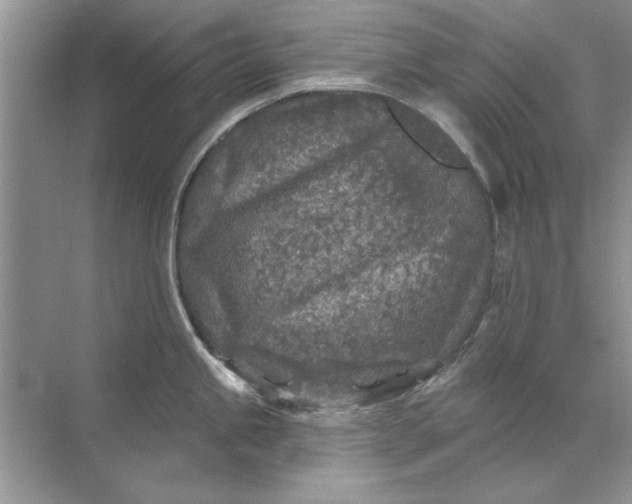 X0000071961245200607212244