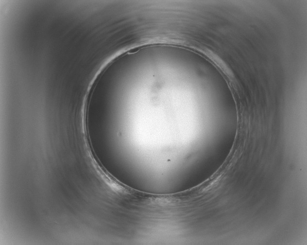 X0000071961246200607212244