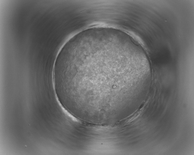 X0000071961247200607212244