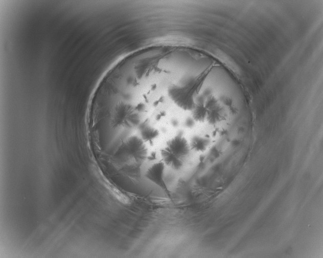 X0000071961248200607212244