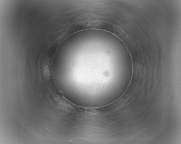 X0000071961250200607212243