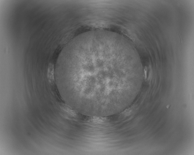 X0000071961251200607212243