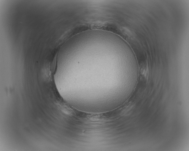 X0000071961252200607212243