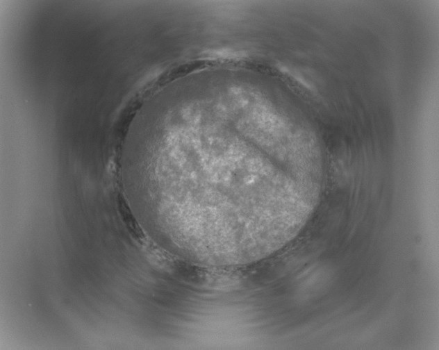 X0000071961254200607212243