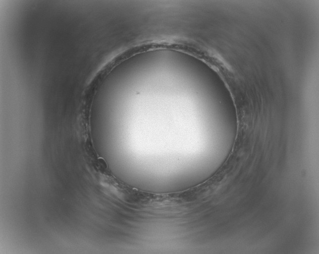 X0000071961256200607212243