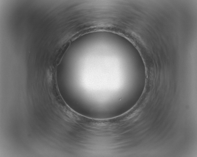 X0000071961257200607212243