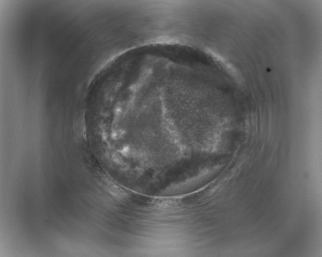 X0000071961262200607212243