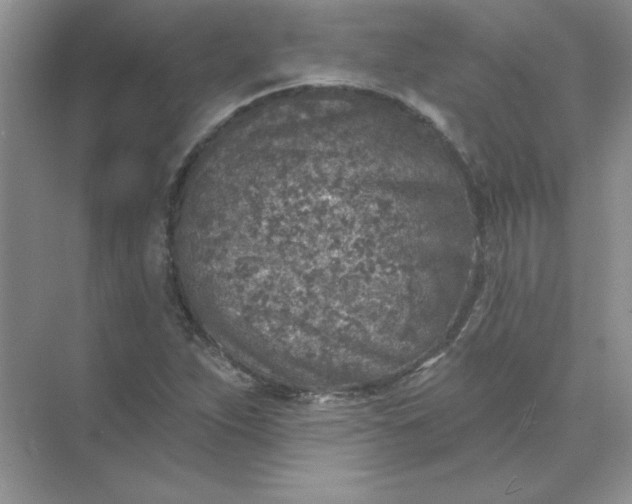 X0000071961263200607212243