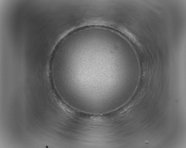 X0000071961264200607212243